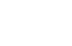 LDU